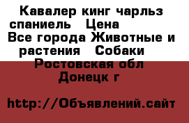 Кавалер кинг чарльз спаниель › Цена ­ 50 000 - Все города Животные и растения » Собаки   . Ростовская обл.,Донецк г.